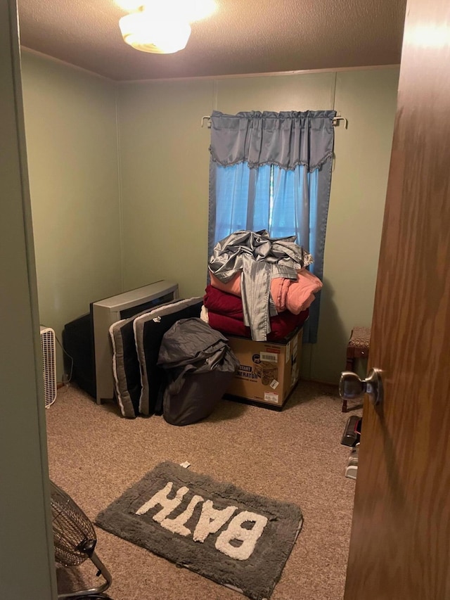 21576 Caberfae Hwy, Wellston, MI 49689 - view of carpeted bedroom