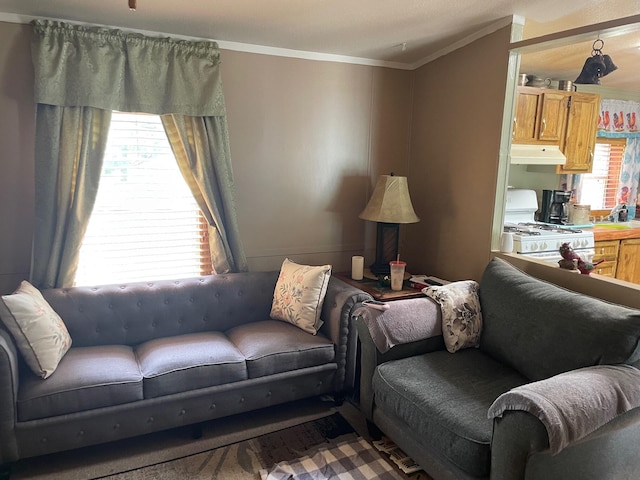 21576 Caberfae Hwy, Wellston, MI 49689 - living room featuring ornamental molding