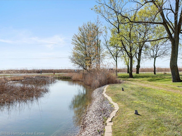 5222 S Channel Dr, Harsens Island, MI 48028 - view of grassy yard featuring a water view