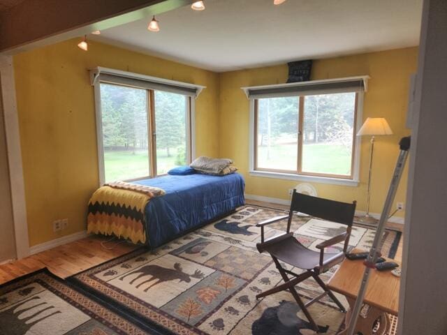 9332 W 10 Mile Rd, Irons, MI 49644 - bedroom featuring baseboards and wood finished floors