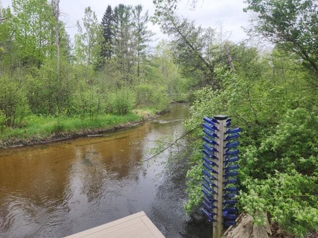 9332 W 10 Mile Rd, Irons, MI 49644 - view of dock