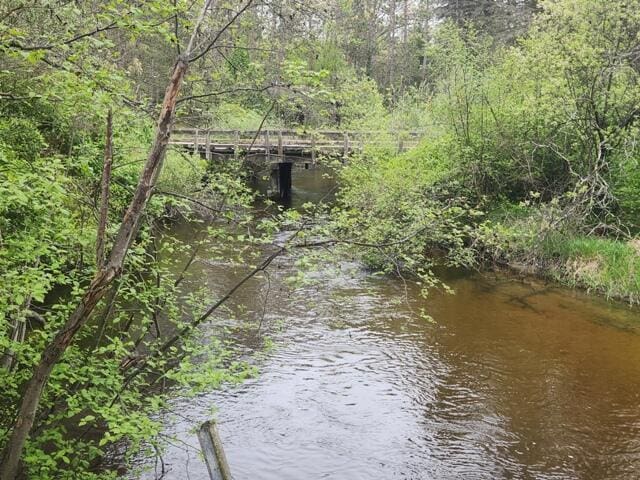 9332 W 10 Mile Rd, Irons, MI 49644 - water view with a heavily wooded area
