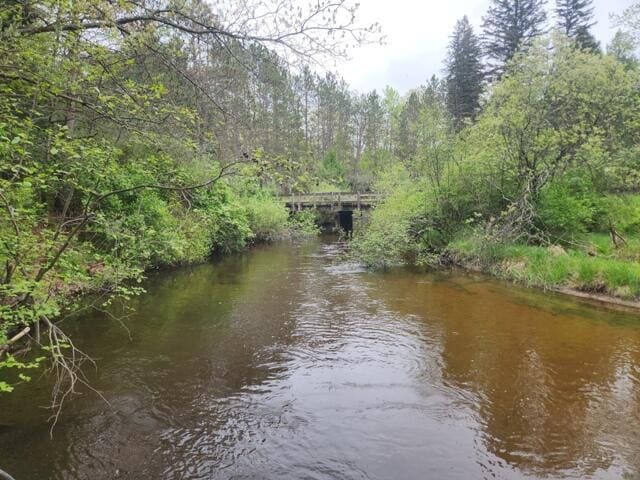 9332 W 10 Mile Rd, Irons, MI 49644 - water view