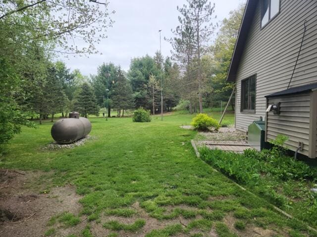 9332 W 10 Mile Rd, Irons, MI 49644 - view of green lawn