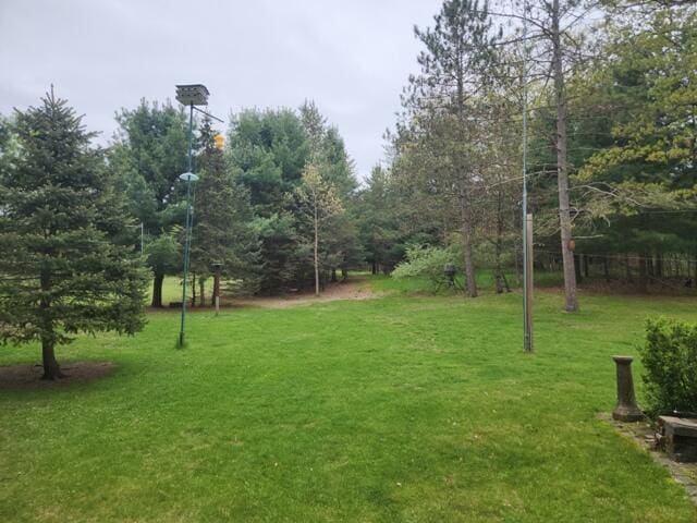 9332 W 10 Mile Rd, Irons, MI 49644 - view of green lawn
