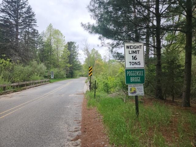 9332 W 10 Mile Rd, Irons, MI 49644 - view of road