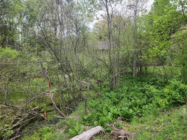 9332 W 10 Mile Rd, Irons, MI 49644 - view of tree filled area