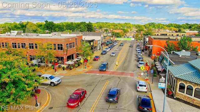 638 Glenwyth Rd, Brighton, MI 48116 - drone / aerial view