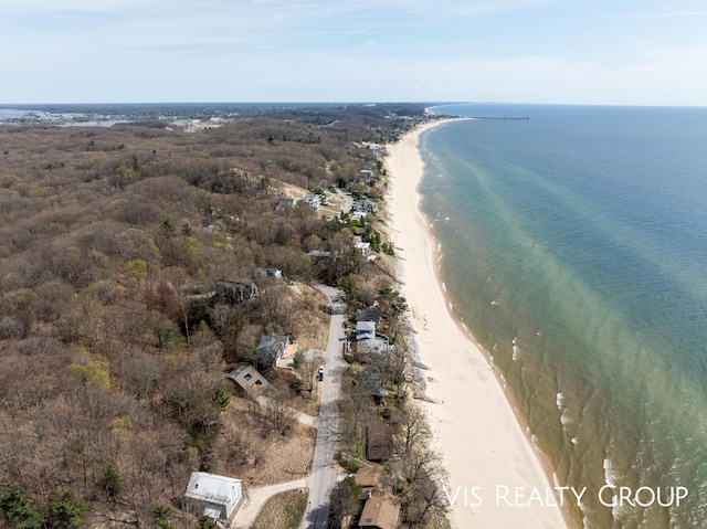 17933 N Shore Estates Rd, Spring Lake, MI 49456 - aerial view of property's location with unending shoreline