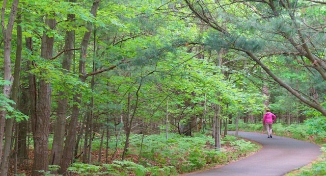 17933 N Shore Estates Rd, Spring Lake, MI 49456 - surrounding community featuring a forest view and asphalt driveway