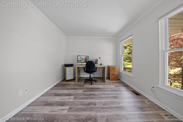 9863 Marshall Rd, South Lyon, MI 48178 - office with crown molding, wood finished floors, and baseboards