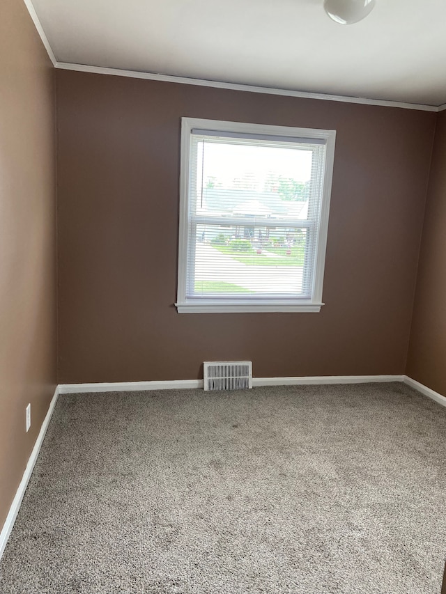 13020 Castle St, Southgate, MI 48195 - carpeted spare room featuring crown molding and baseboards