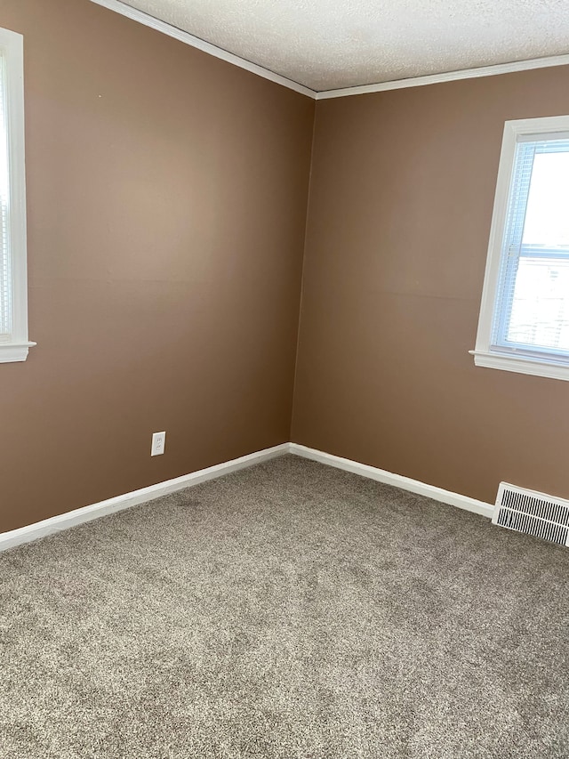 13020 Castle St, Southgate, MI 48195 - spare room with carpet floors, ornamental molding, baseboards, and a textured ceiling