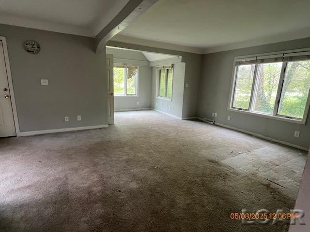 6730 Summerfield Rd, Temperance, MI 48182 - carpeted empty room with baseboards and arched walkways