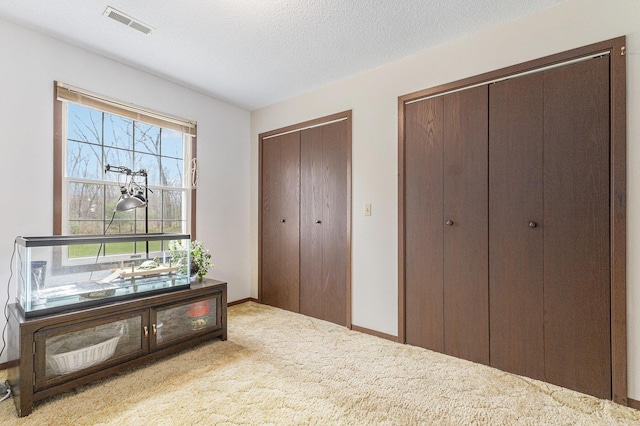 7719 Guenthardt Rd, Manistee, MI 49660 - carpeted bedroom with multiple closets, a textured ceiling, and baseboards