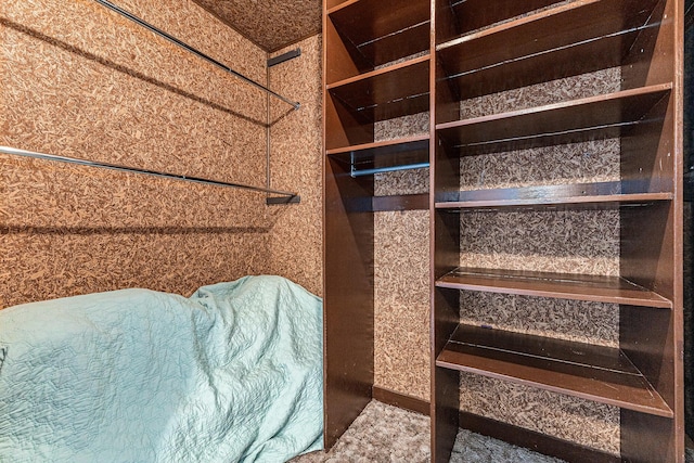 7719 Guenthardt Rd, Manistee, MI 49660 - view of spacious closet