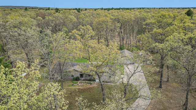 7719 Guenthardt Rd, Manistee, MI 49660 - aerial view of a forest