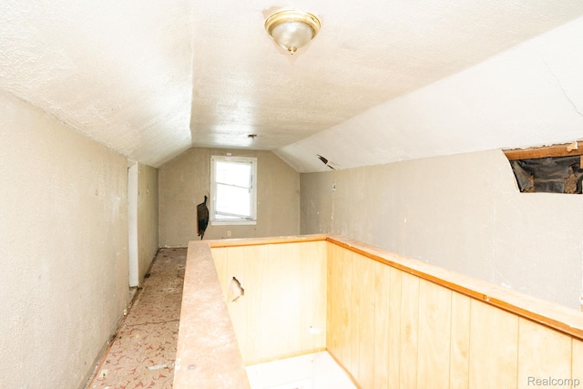 15693 Liberal St, Detroit, MI 48205 - additional living space featuring vaulted ceiling