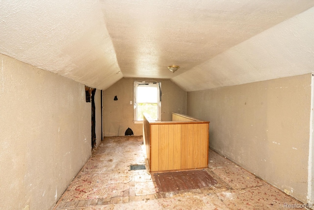 15693 Liberal St, Detroit, MI 48205 - additional living space with vaulted ceiling