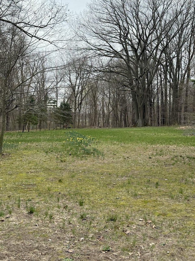 5873 Harding St, Coloma, MI 49038 - view of yard with a forest view
