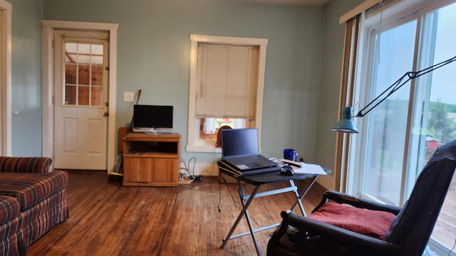 3483 80th Ave, Lakeview, MI 48850 - office area featuring healthy amount of natural light and hardwood / wood-style flooring