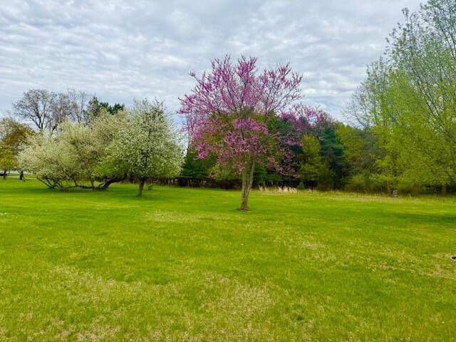 view of grassy yard