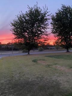 view of yard at dusk