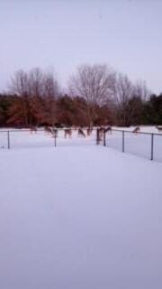 view of snowy yard