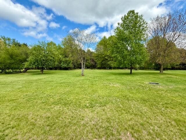 view of grassy yard featuring view of wooded area