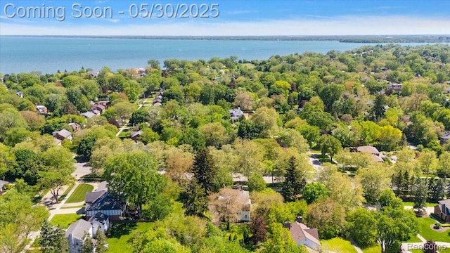 16109 E Jefferson Ave, Grosse Pointe Park, MI 48230 - aerial view of a large body of water