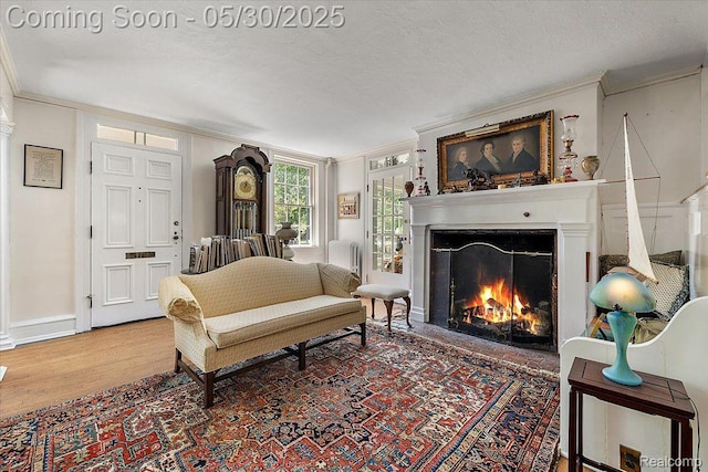 16109 E Jefferson Ave, Grosse Pointe Park, MI 48230 - living area featuring ornamental molding, a warm lit fireplace, wood finished floors, baseboards, and a textured ceiling