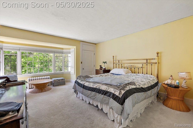 16109 E Jefferson Ave, Grosse Pointe Park, MI 48230 - carpeted bedroom featuring baseboards and radiator heating unit
