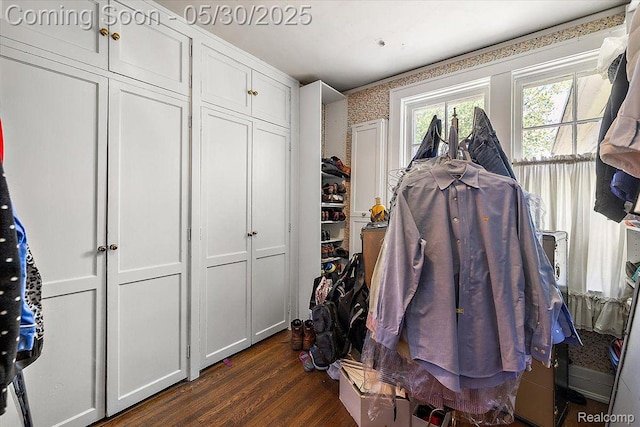 16109 E Jefferson Ave, Grosse Pointe Park, MI 48230 - walk in closet with dark wood-type flooring