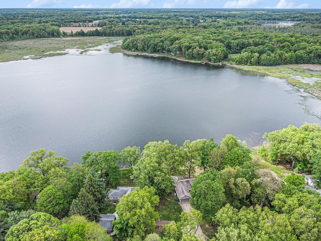 bird's eye view of a large body of water and a forest