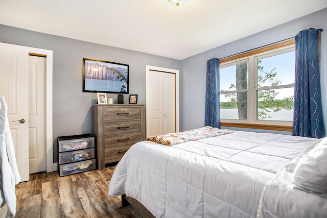 bedroom with wood finished floors and a closet