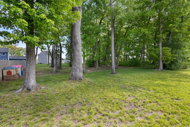 25596 Forest Dr, Mattawan, MI 49071 - view of yard