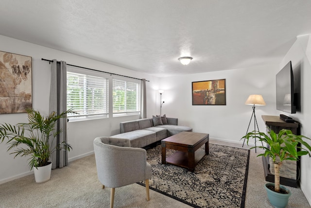 25596 Forest Dr, Mattawan, MI 49071 - living room featuring carpet floors and baseboards