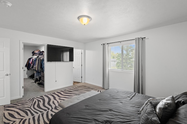 25596 Forest Dr, Mattawan, MI 49071 - carpeted bedroom featuring baseboards, a spacious closet, and a closet