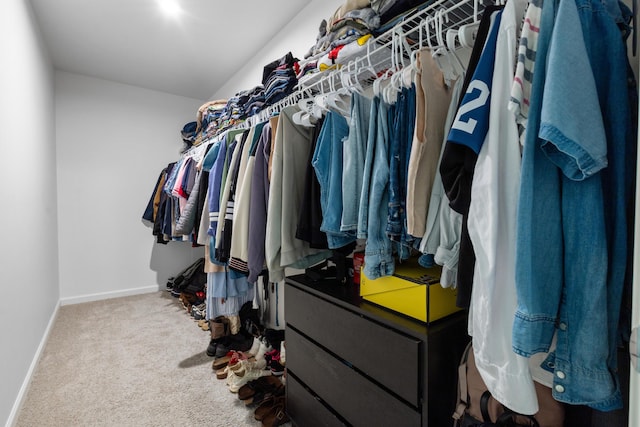 25596 Forest Dr, Mattawan, MI 49071 - spacious closet with carpet flooring