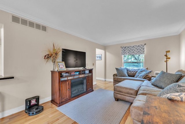 6550 Avon Dr, Brighton, MI 48116 - living area with light wood finished floors, baseboards, crown molding, and a glass covered fireplace
