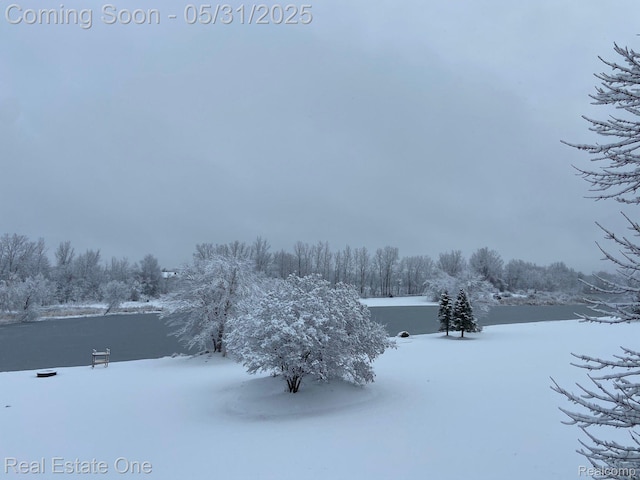 3088 Exeter Dr, Milford, MI 48380 - view of yard covered in snow