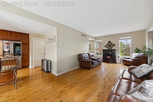 750 2nd St Unit 27, Wyandotte, MI 48192 - living area featuring light wood-type flooring and a warm lit fireplace