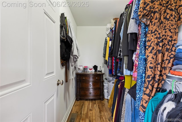 750 2nd St Unit 27, Wyandotte, MI 48192 - walk in closet featuring wood finished floors