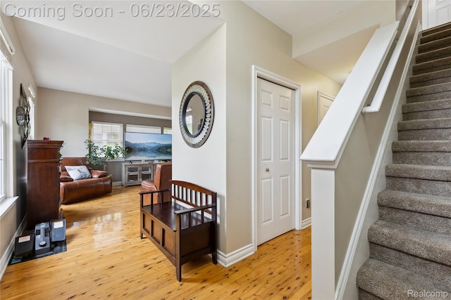 750 2nd St Unit 27, Wyandotte, MI 48192 - stairs with hardwood / wood-style floors