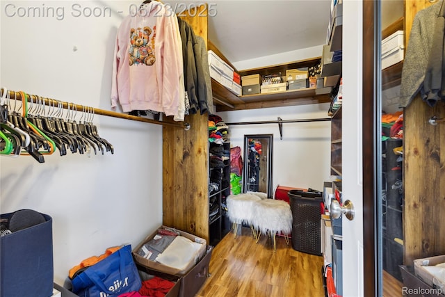 750 2nd St Unit 27, Wyandotte, MI 48192 - spacious closet with wood finished floors