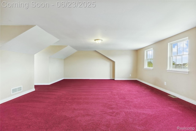 750 2nd St Unit 27, Wyandotte, MI 48192 - additional living space with carpet and lofted ceiling