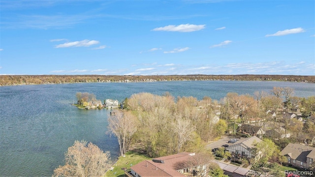895 S Pontiac Trl Unit C206, Walled Lake, MI 48390 - water view