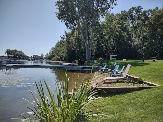 895 S Pontiac Trl Unit C206, Walled Lake, MI 48390 - water view