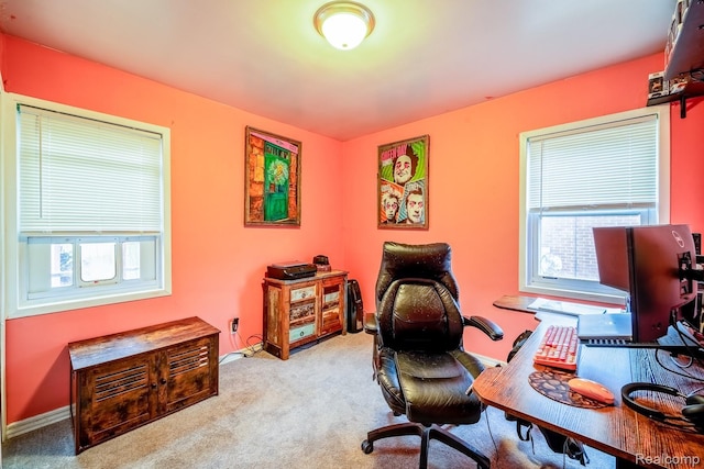 706 White Ave, Lincoln Park, MI 48146 - home office with healthy amount of natural light, carpet flooring, and baseboards