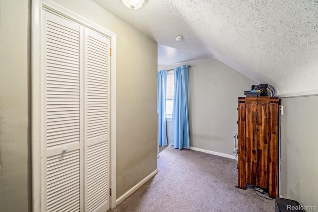 706 White Ave, Lincoln Park, MI 48146 - bonus room with lofted ceiling, carpet, a textured ceiling, and baseboards